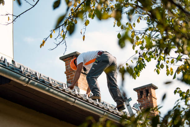 Quick and Trustworthy Emergency Roof Repair Services in Colma, CA