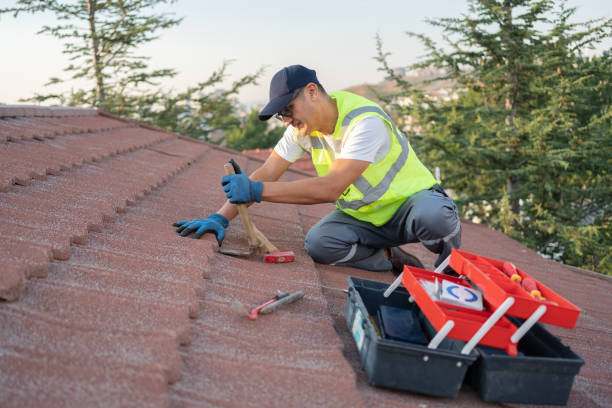 Professional Roofing Contractor in Colma, CA